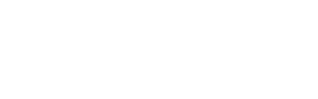 Ras Grupo Logistico